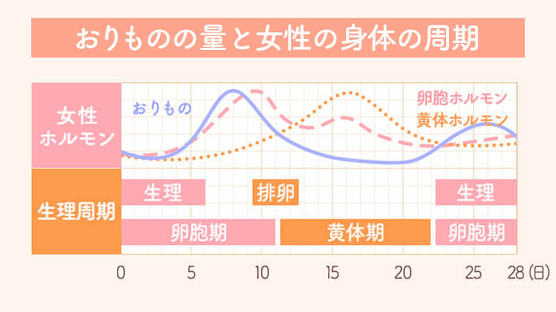 どのように扱われますか?