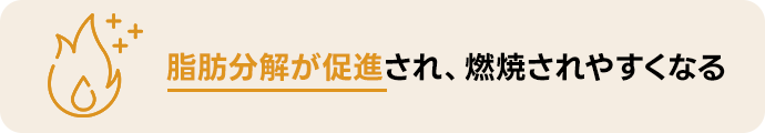 脂肪分解が促進され、燃焼されやすくなる。