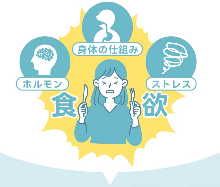 食欲の原因はホルモン・身体の仕組み・ストレスなど複数の要因が重なり合っていることを示すイラスト
