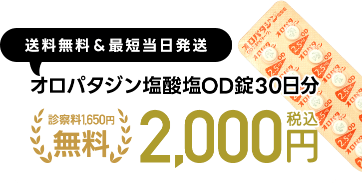 送料無料＆最短当日発送｜オロパタジン塩酸塩OD錠30日分2,000円