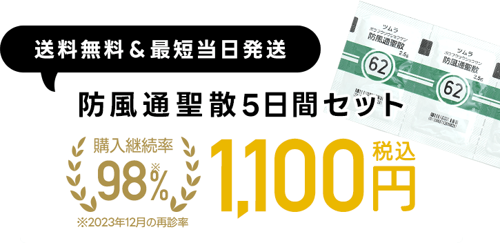 送料無料＆最短当日発送｜防風通聖散5日間セット1,100円